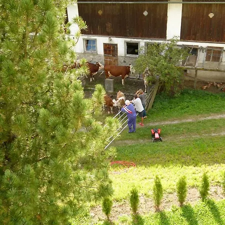 Ferienwohnungen Bachergut Mariapfarr Room photo