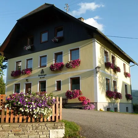 Ferienwohnungen Bachergut Mariapfarr Room photo