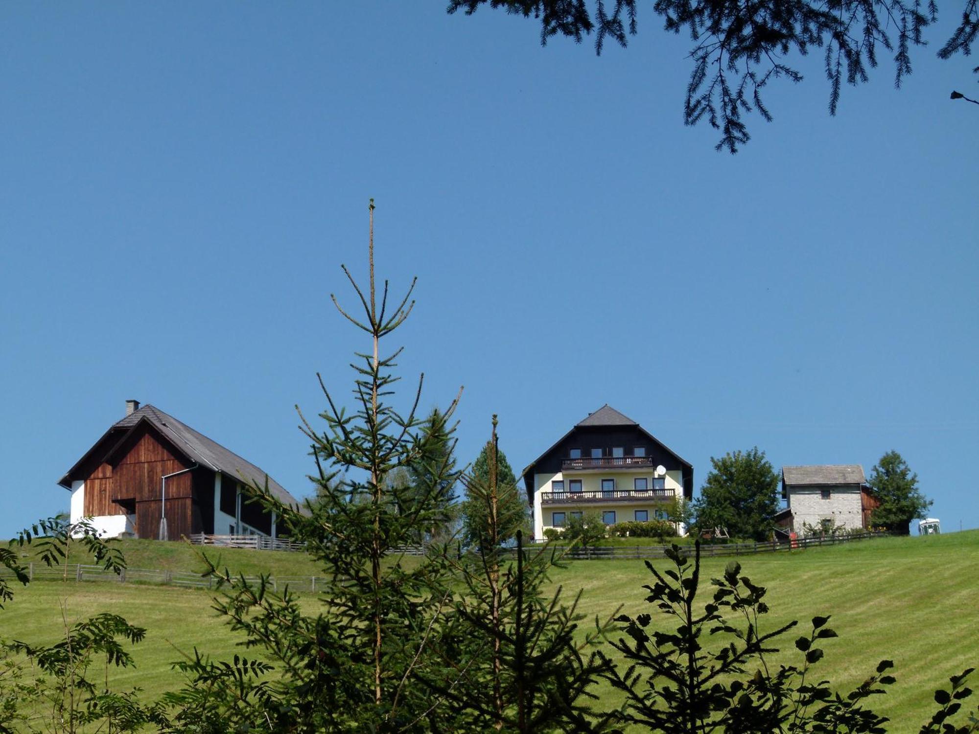 Apartment Bachergut