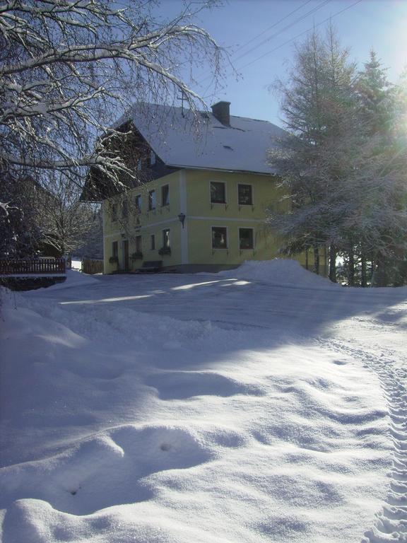 Bachergut Apartment Mariapfarr